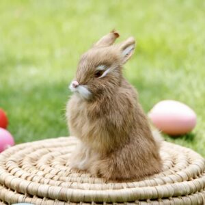 Bunny Babes